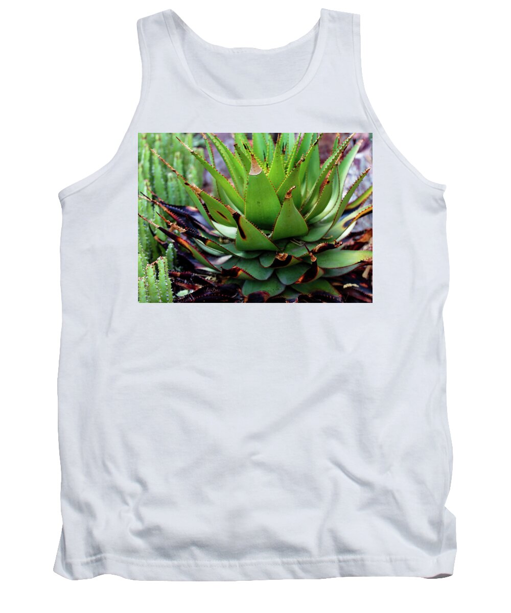Cacti VI - Tank Top