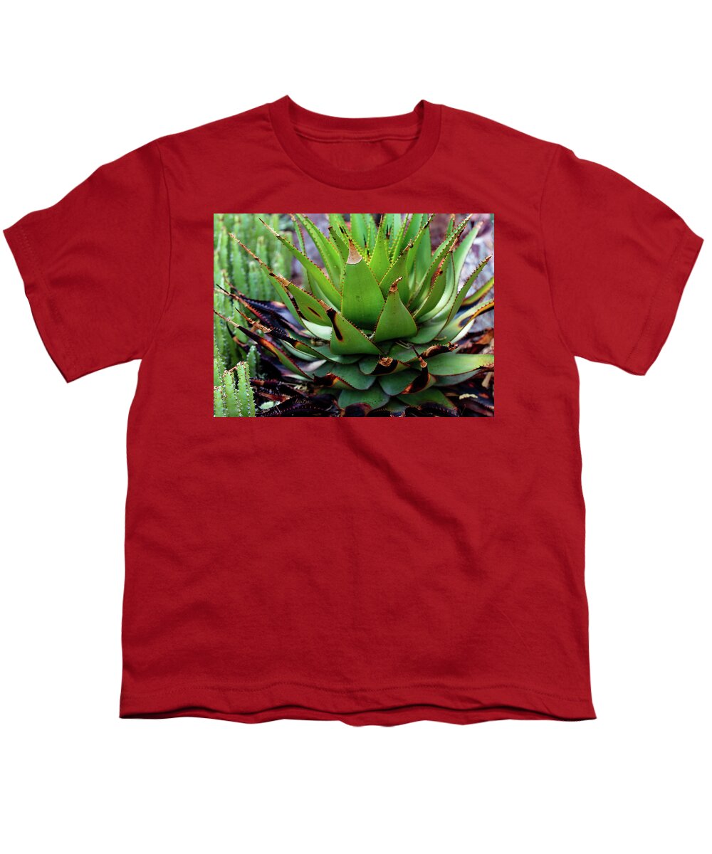 Cacti VI - Youth T-Shirt