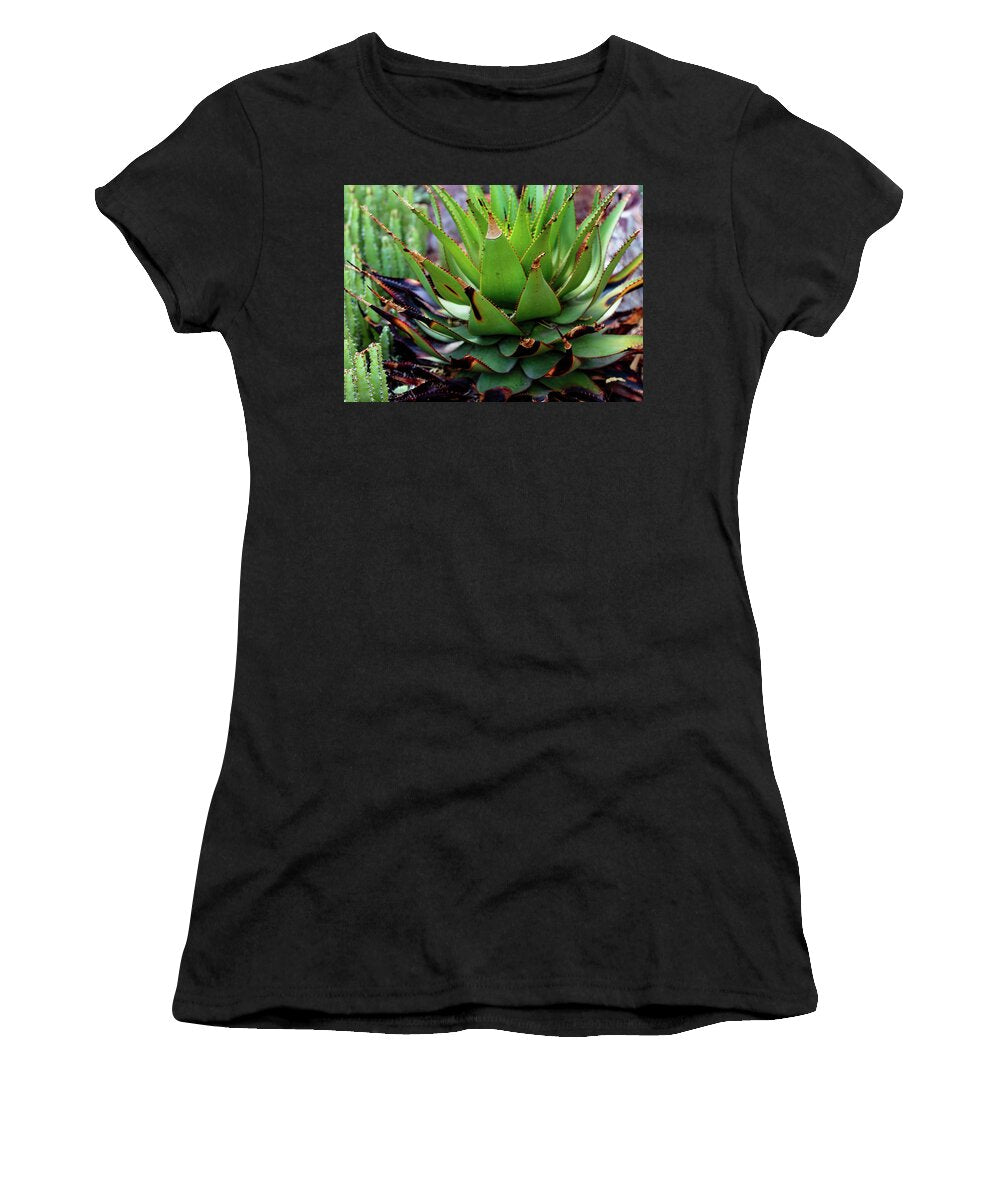 Cacti VI - Women's T-Shirt