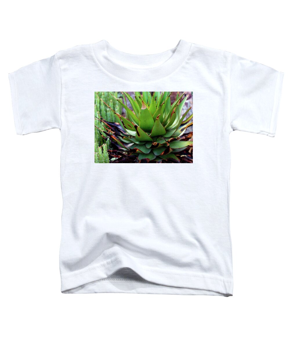 Cacti VI - Toddler T-Shirt