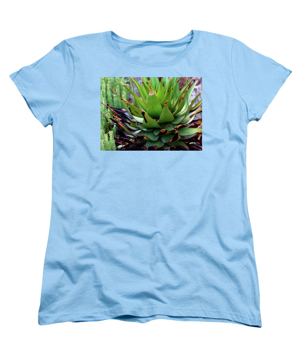Cacti VI - Women's T-Shirt (Standard Fit)