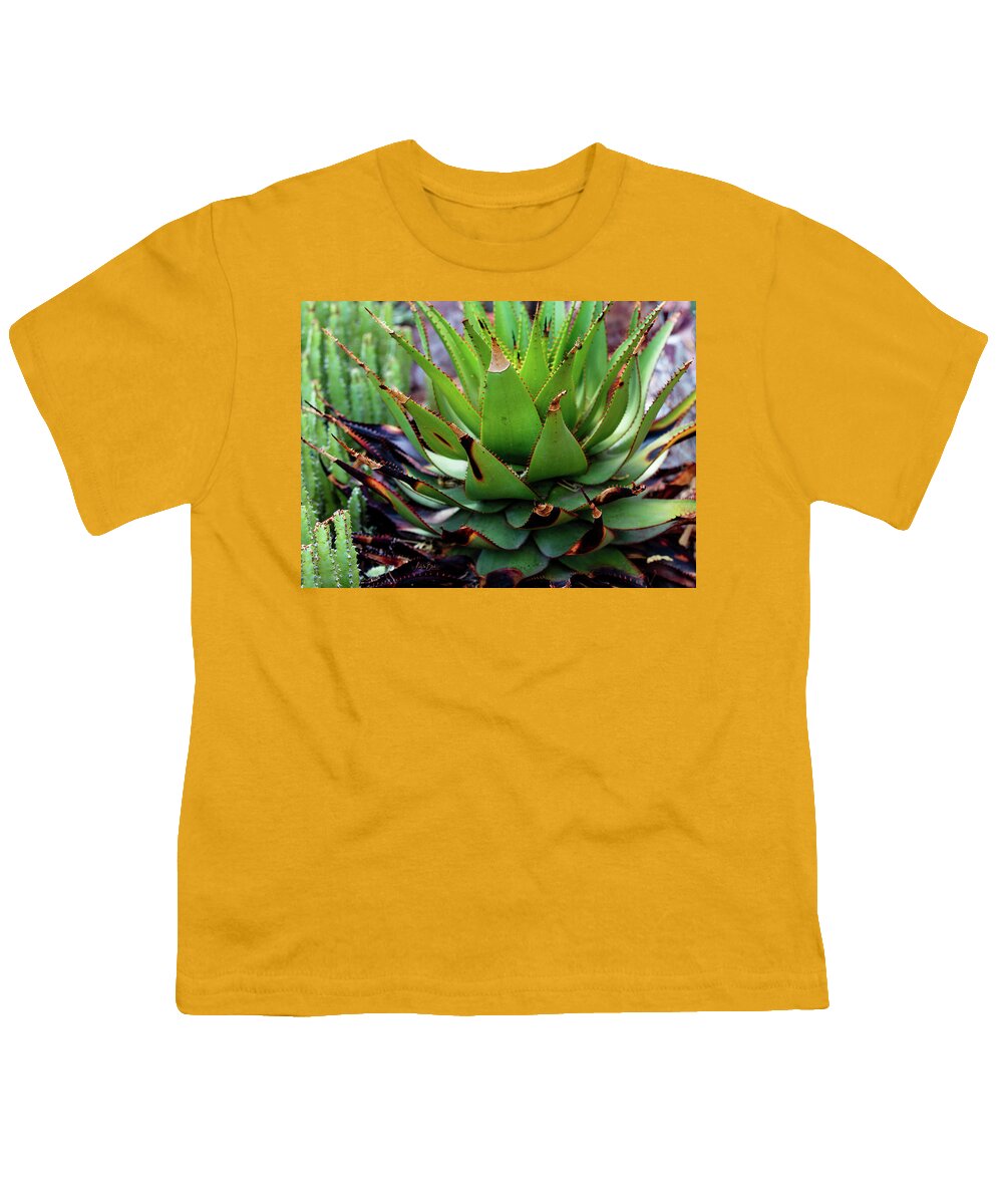 Cacti VI - Youth T-Shirt