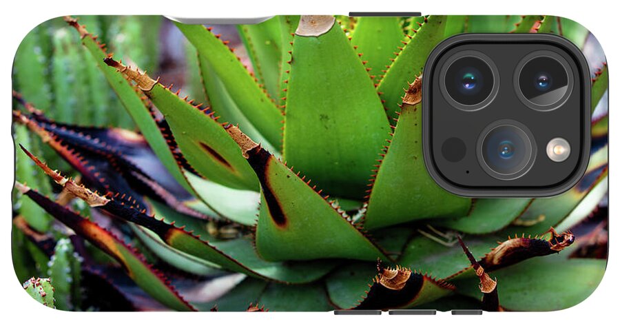 Cacti VI - Phone Case