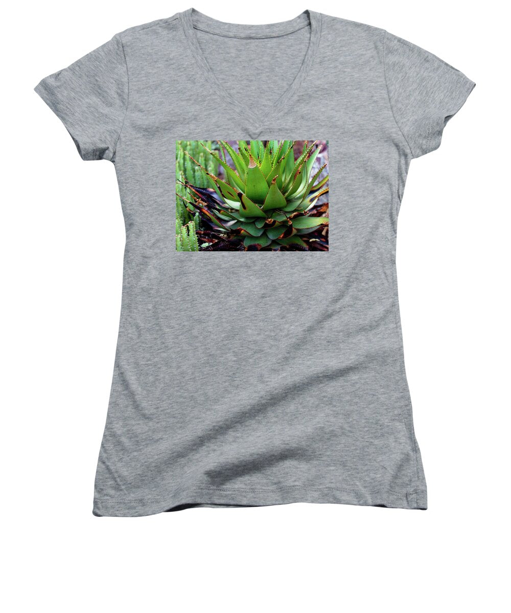 Cacti VI - Women's V-Neck