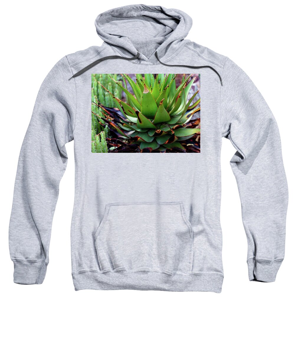 Cacti VI - Sweatshirt