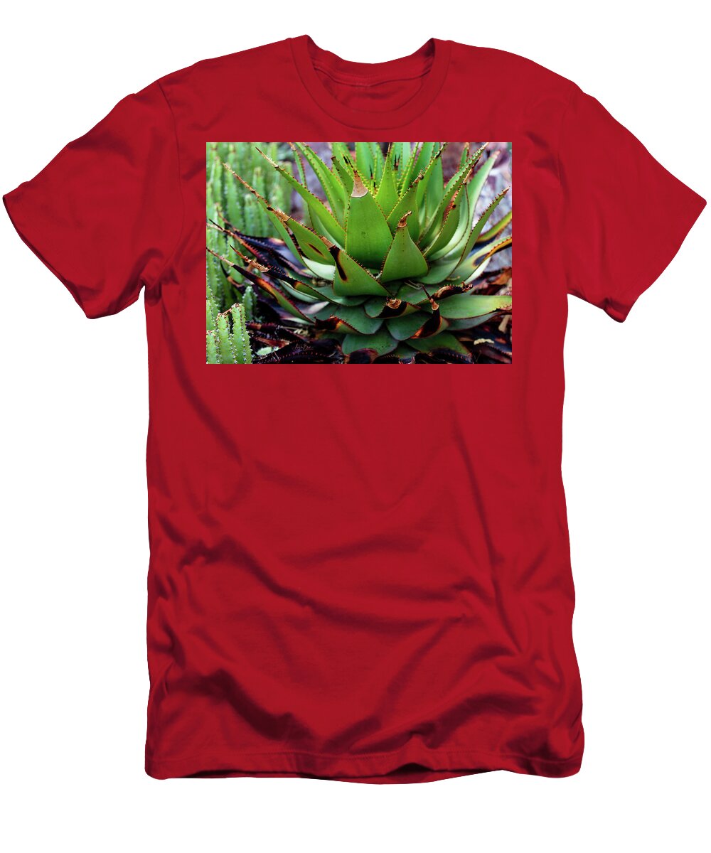 Cacti VI - T-Shirt