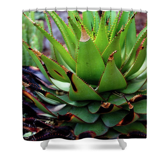 Cacti VI - Shower Curtain