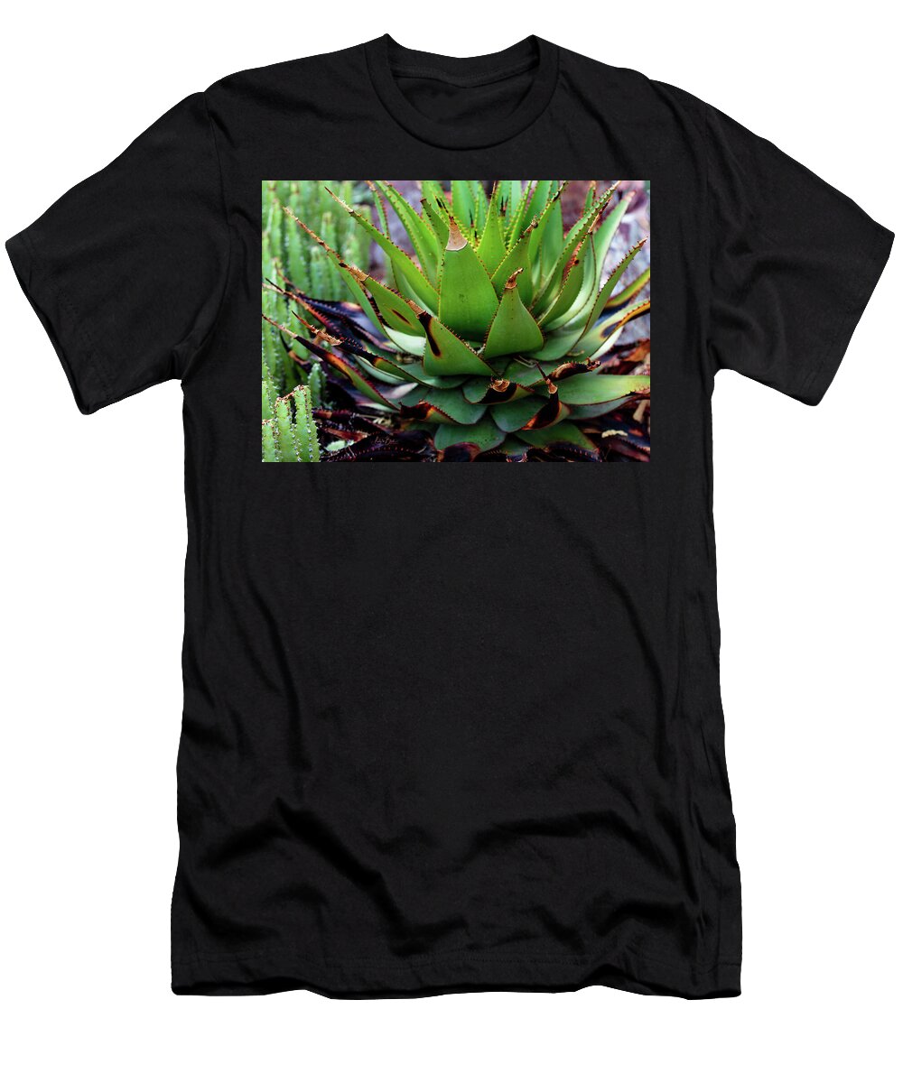 Cacti VI - T-Shirt