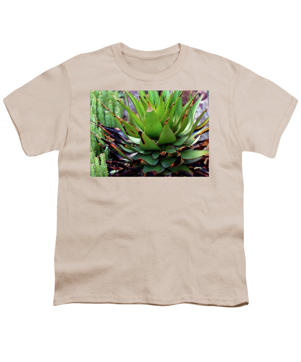Cacti VI - Youth T-Shirt
