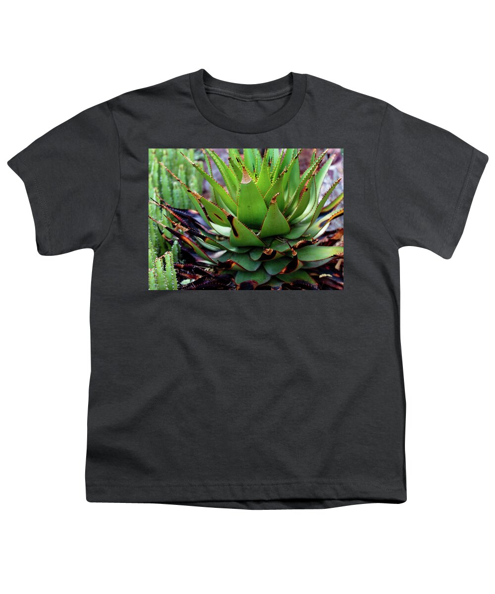 Cacti VI - Youth T-Shirt