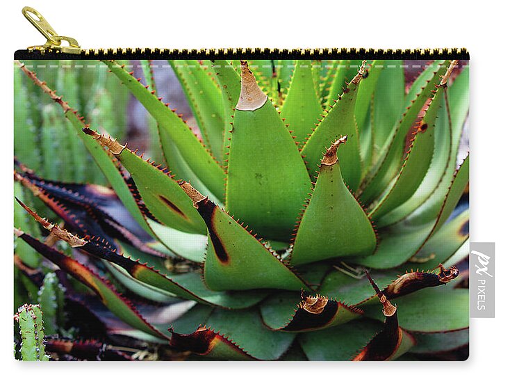 Cacti VI - Zip Pouch