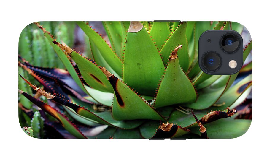 Cacti VI - Phone Case