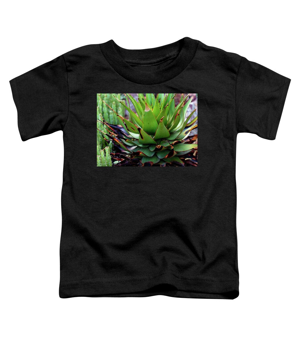Cacti VI - Toddler T-Shirt