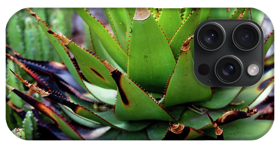Cacti VI - Phone Case