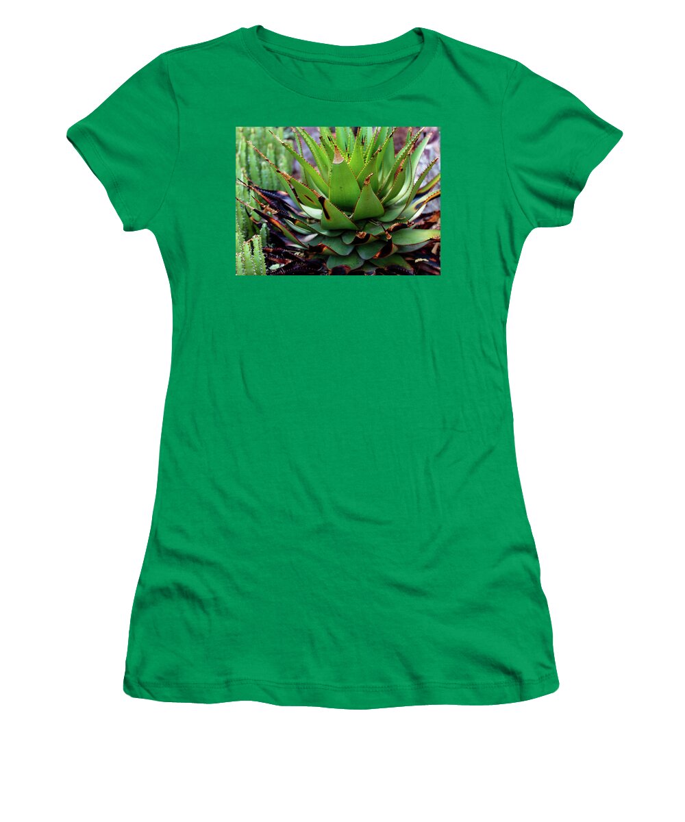 Cacti VI - Women's T-Shirt