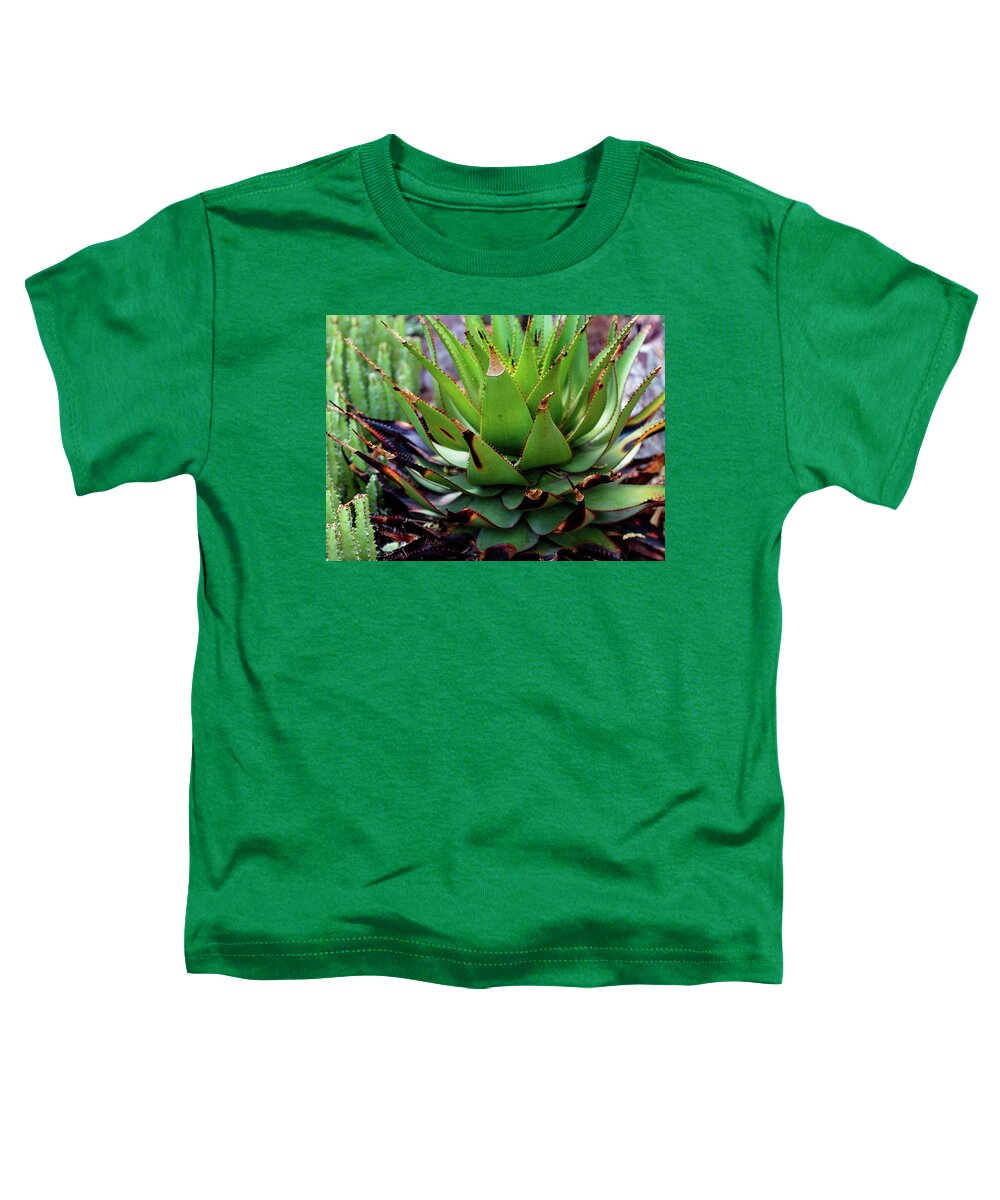 Cacti VI - Toddler T-Shirt