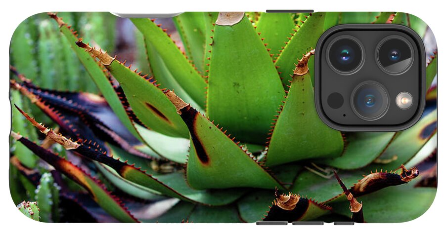 Cacti VI - Phone Case