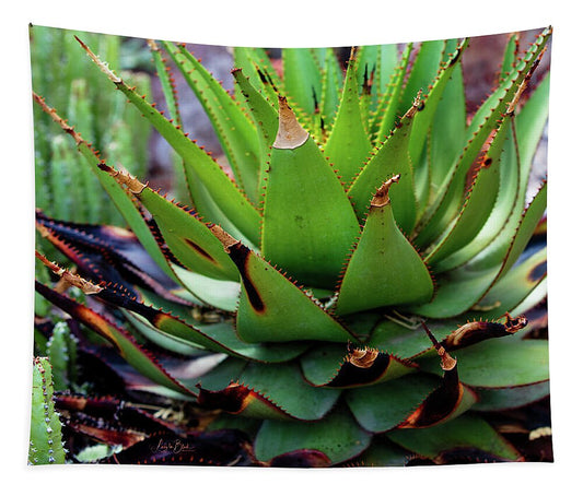 Cacti VI - Tapestry