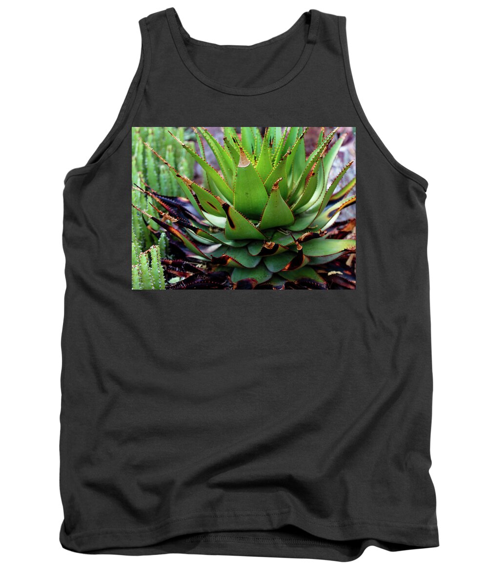 Cacti VI - Tank Top