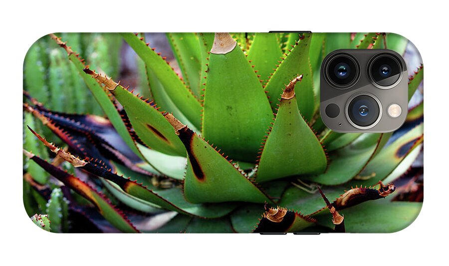 Cacti VI - Phone Case