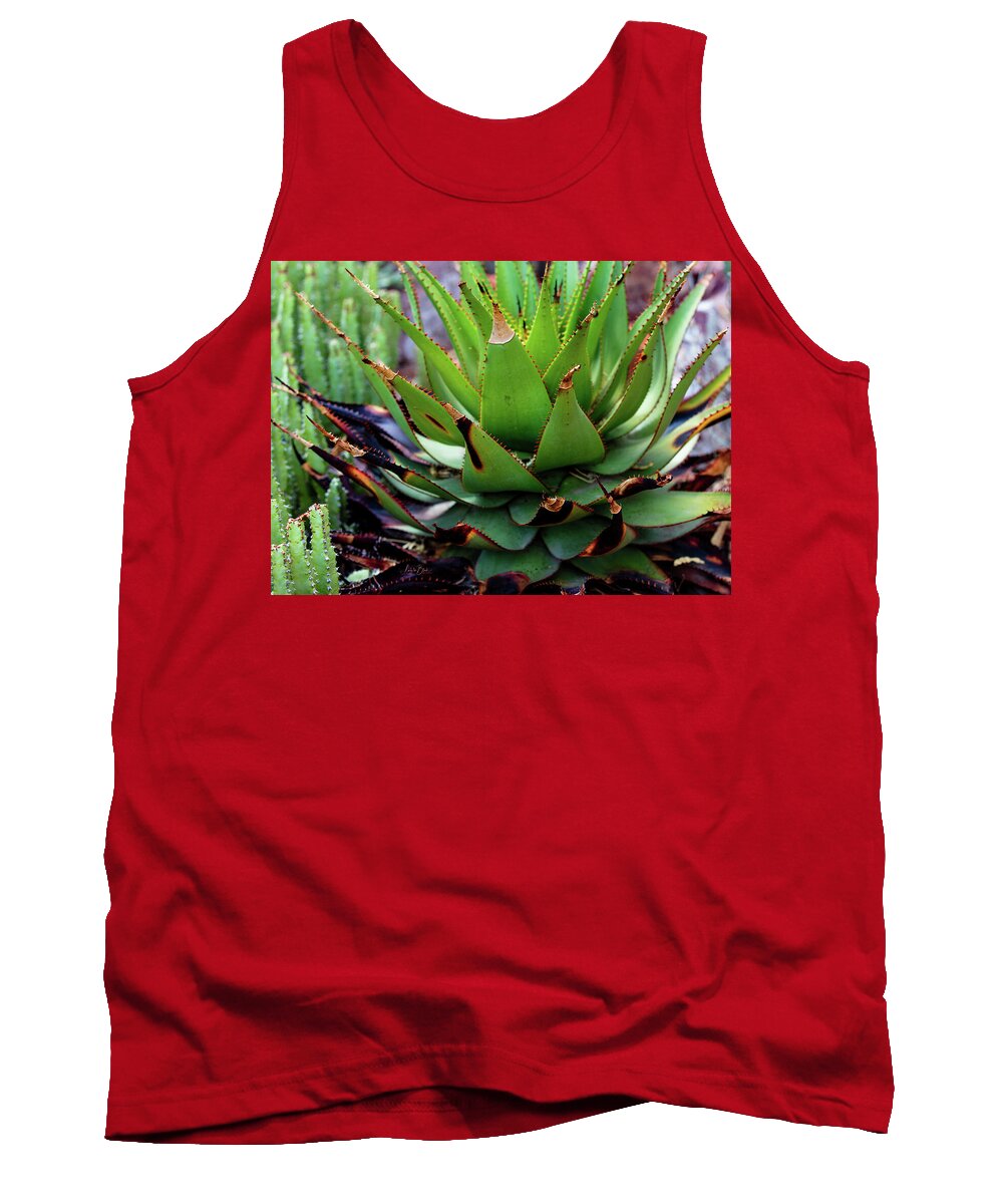 Cacti VI - Tank Top