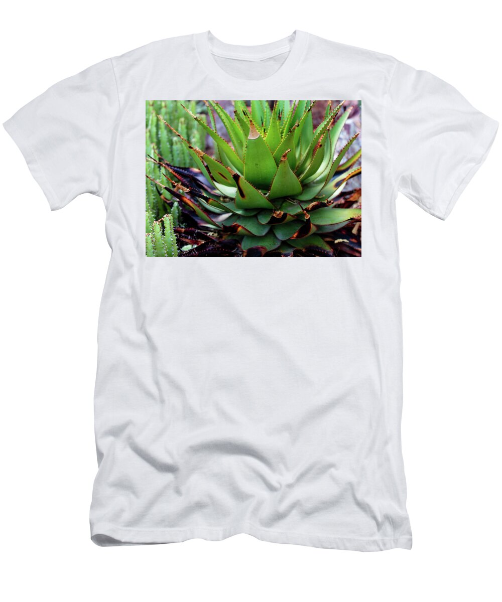 Cacti VI - T-Shirt