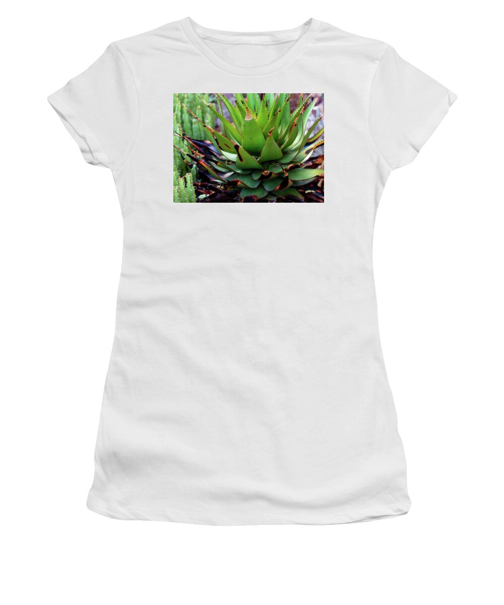 Cacti VI - Women's T-Shirt