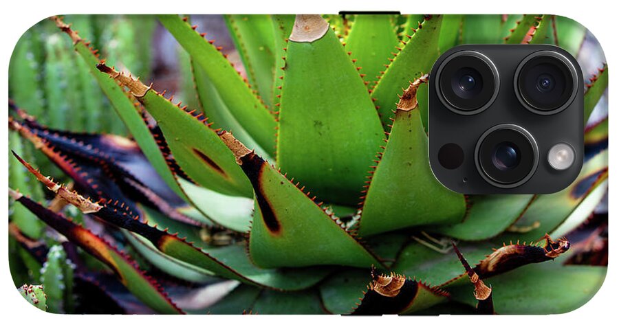 Cacti VI - Phone Case