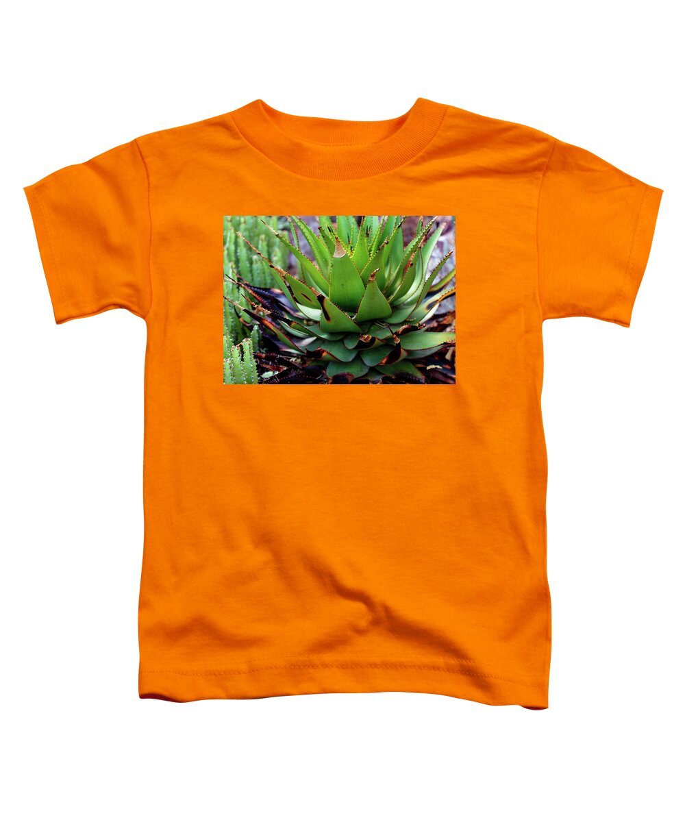 Cacti VI - Toddler T-Shirt
