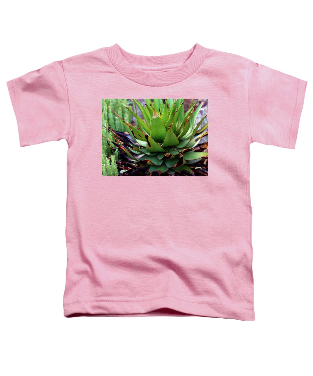 Cacti VI - Toddler T-Shirt