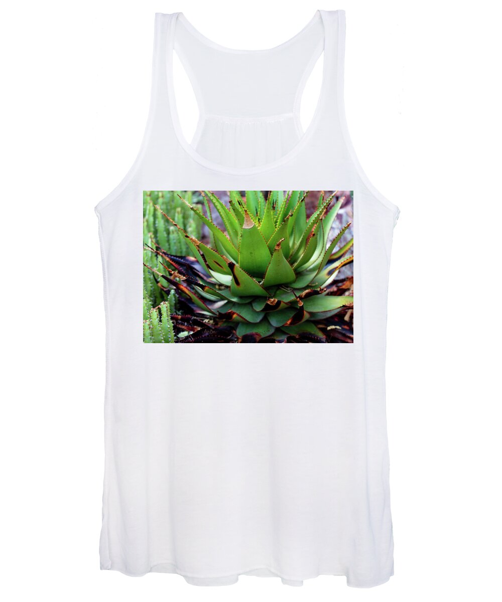 Cacti VI - Women's Tank Top