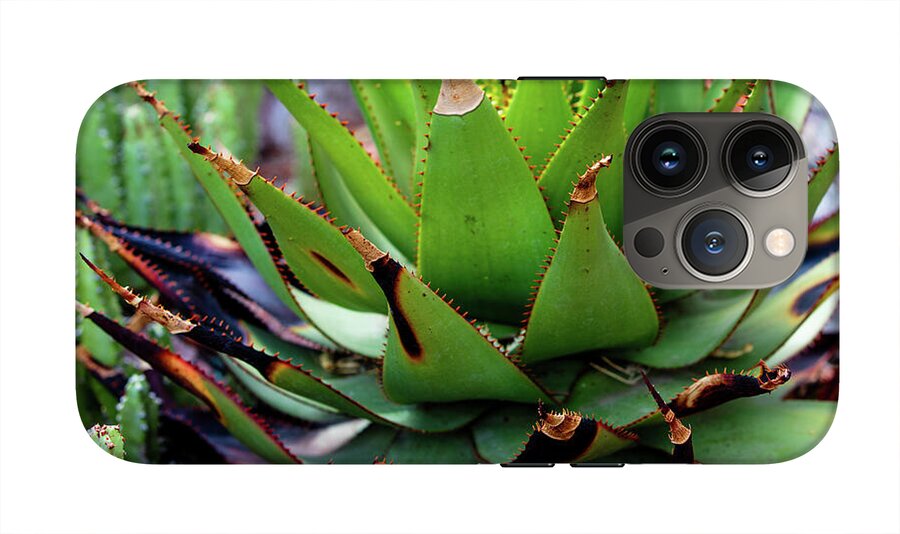Cacti VI - Phone Case
