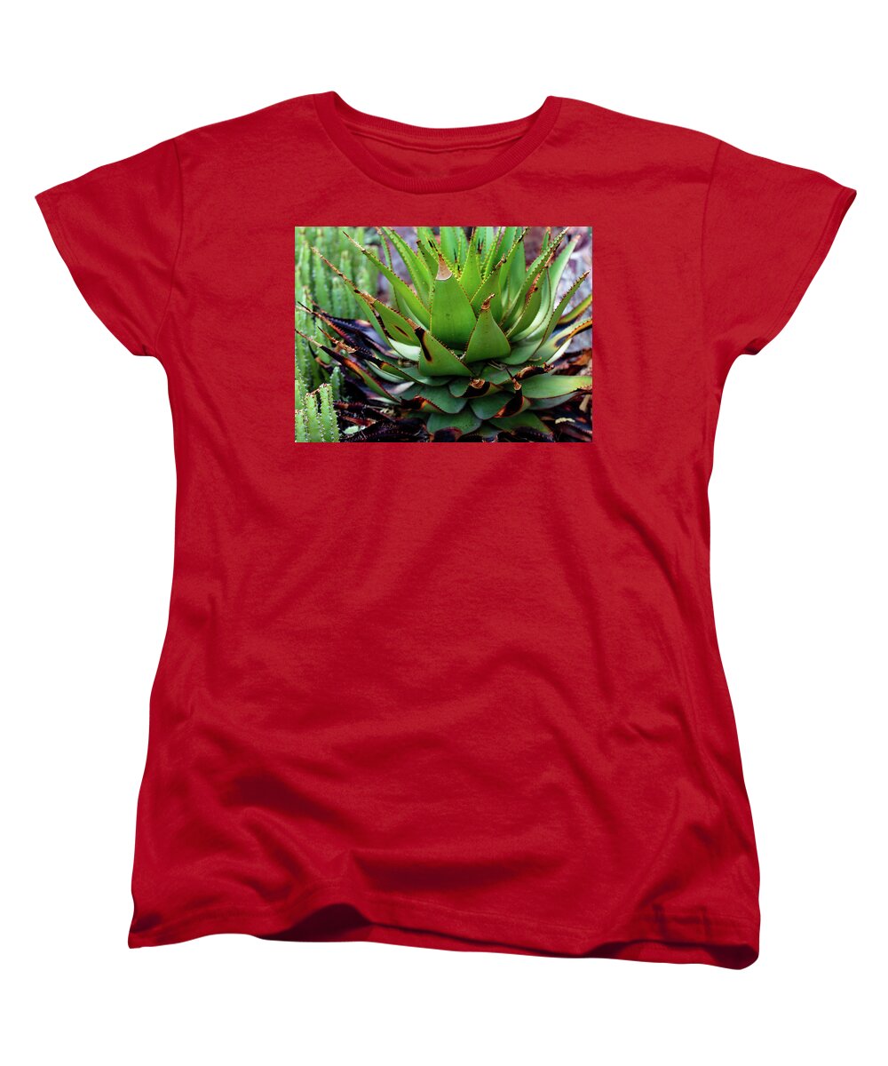 Cacti VI - Women's T-Shirt (Standard Fit)