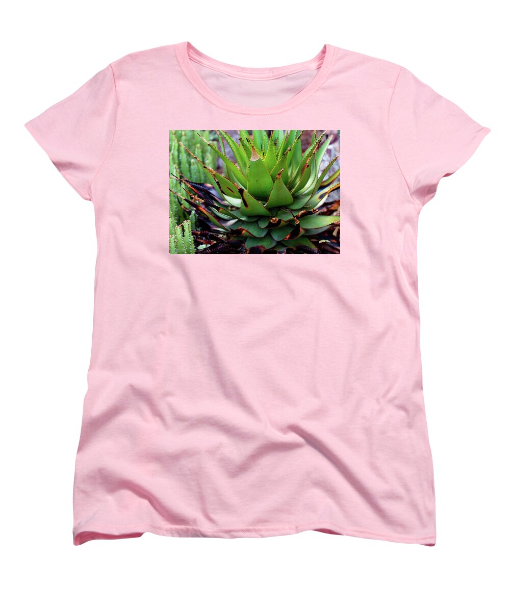 Cacti VI - Women's T-Shirt (Standard Fit)