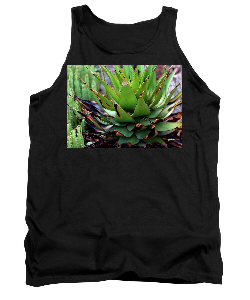 Cacti VI - Tank Top