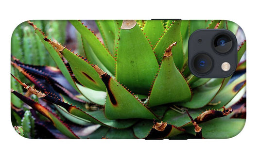 Cacti VI - Phone Case