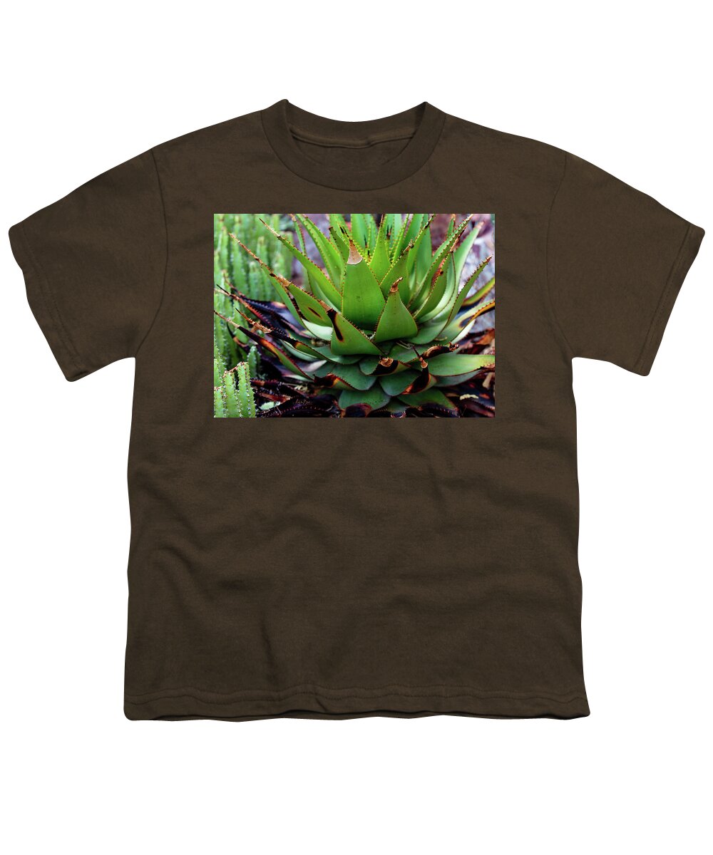 Cacti VI - Youth T-Shirt
