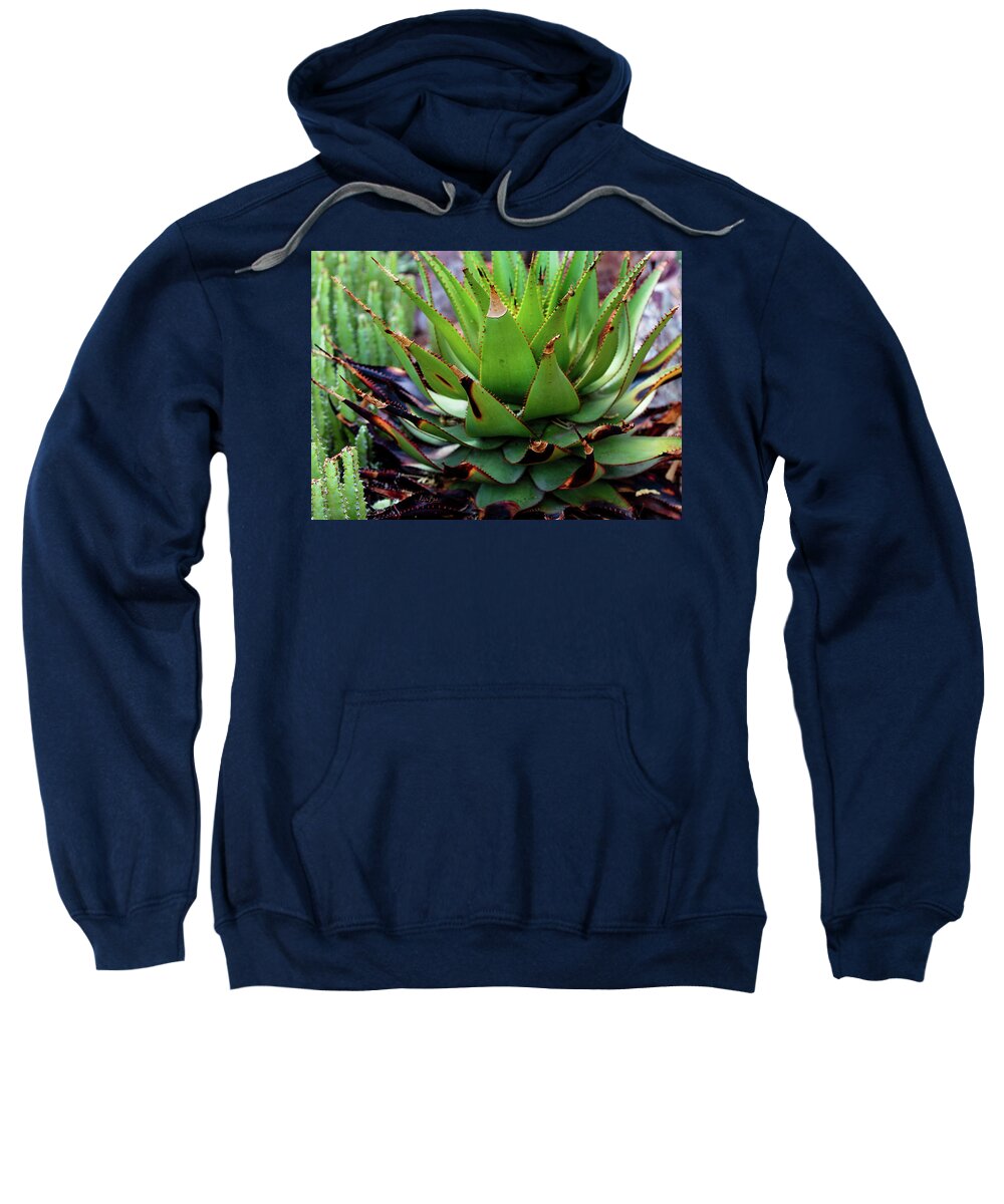 Cacti VI - Sweatshirt