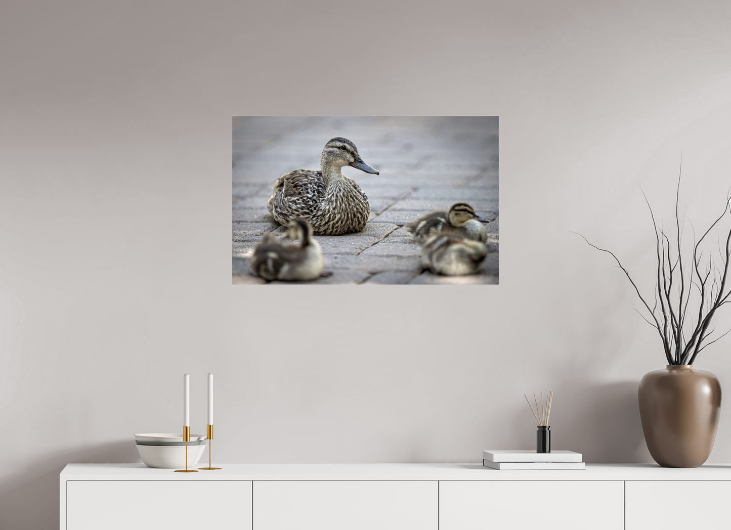 31.7 x 20″, Photo Print Under Acrylic Glass Mother and Ducklings