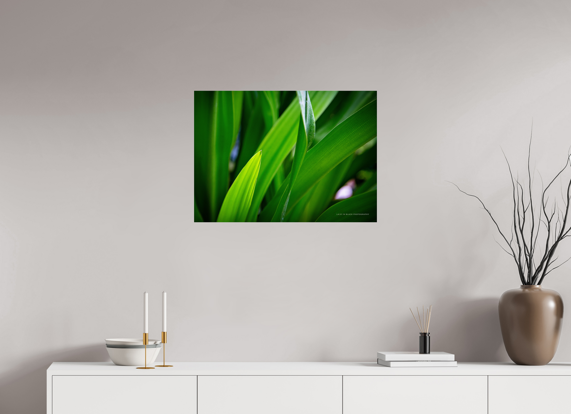 27.8 x 20″, Photo Print Under Acrylic Glass Blades of Peace
