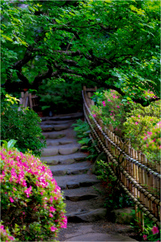 Main image Gardens of Tokyo III