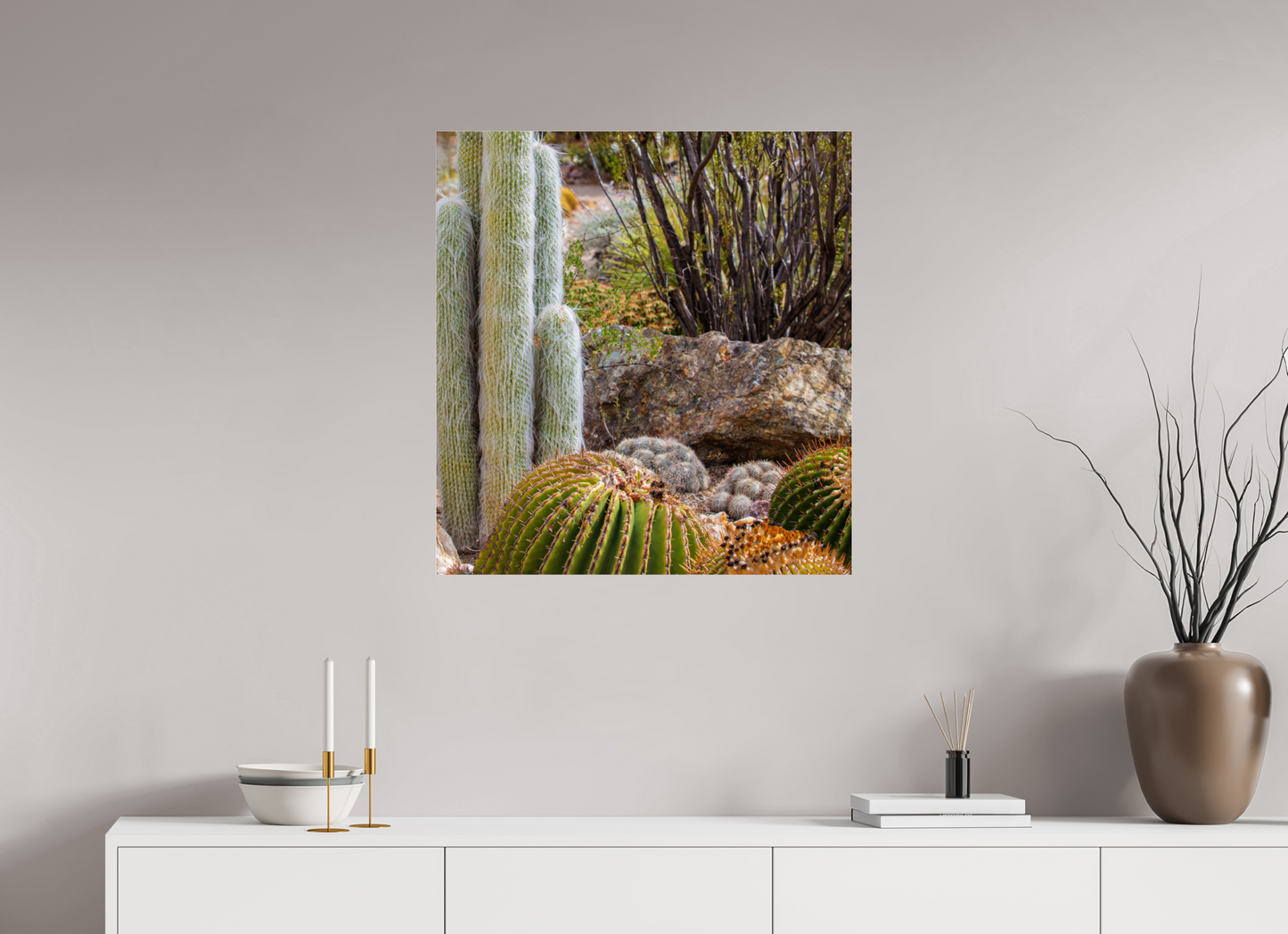 28 x 29.9″, Photo Print Under Acrylic Glass Cacti III Closeup
