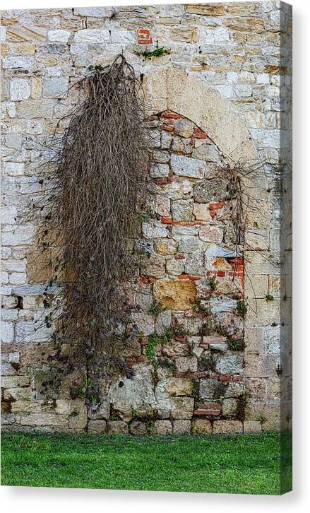 City Wall of Pisa - Canvas Print