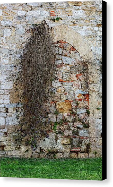 City Wall of Pisa - Canvas Print