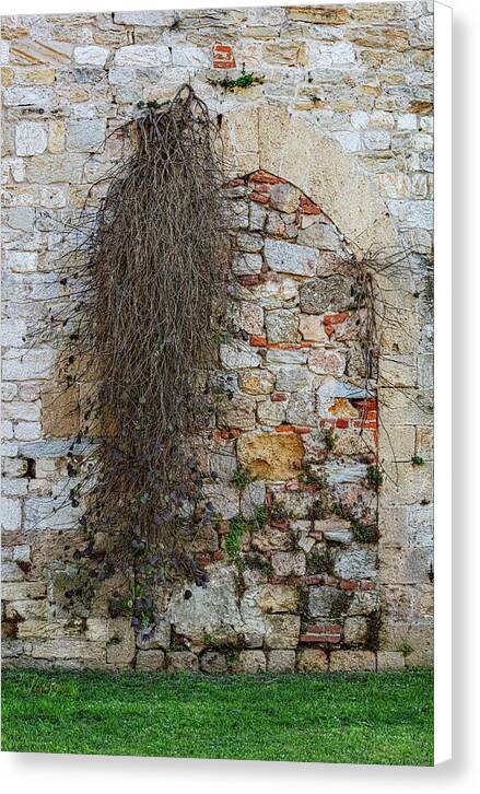 City Wall of Pisa - Canvas Print