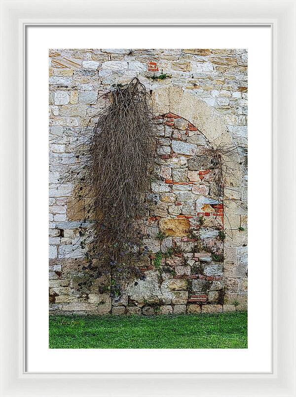 City Wall of Pisa - Framed Print