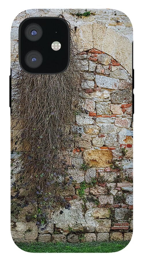 City Wall of Pisa - Phone Case