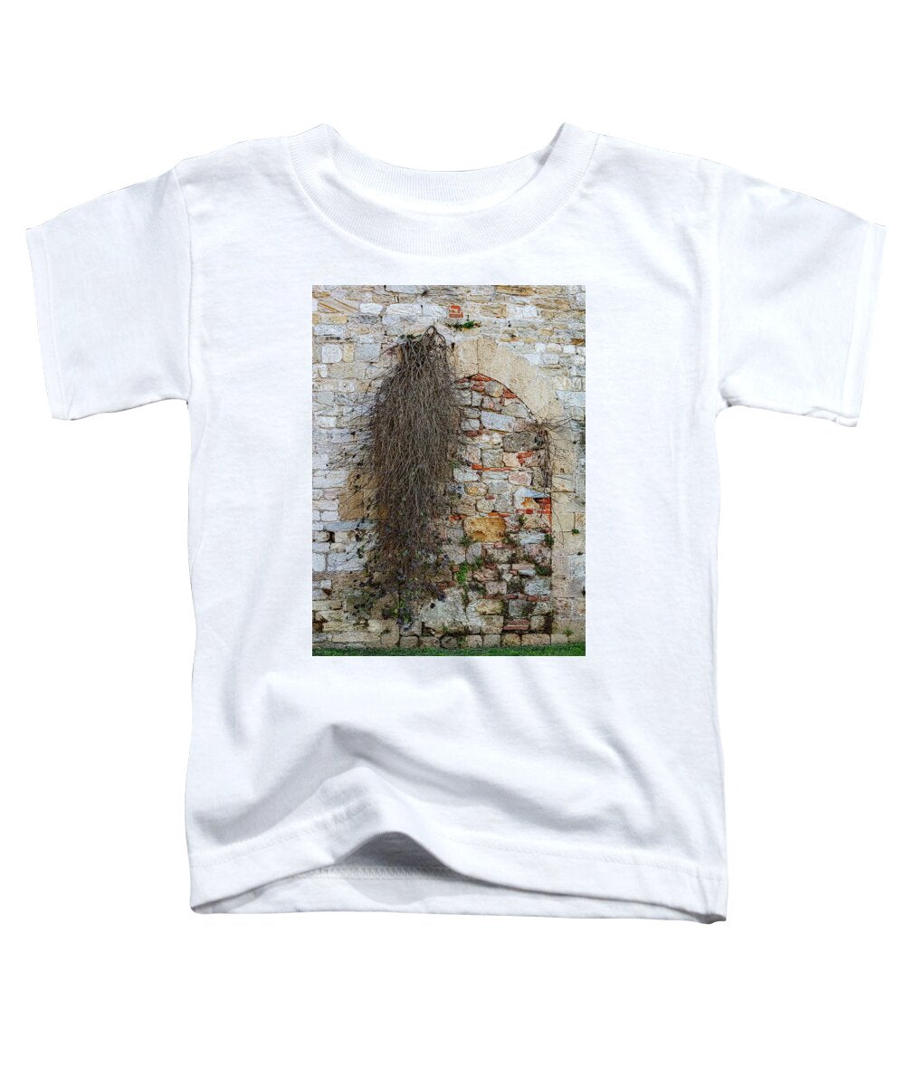 City Wall of Pisa - Toddler T-Shirt