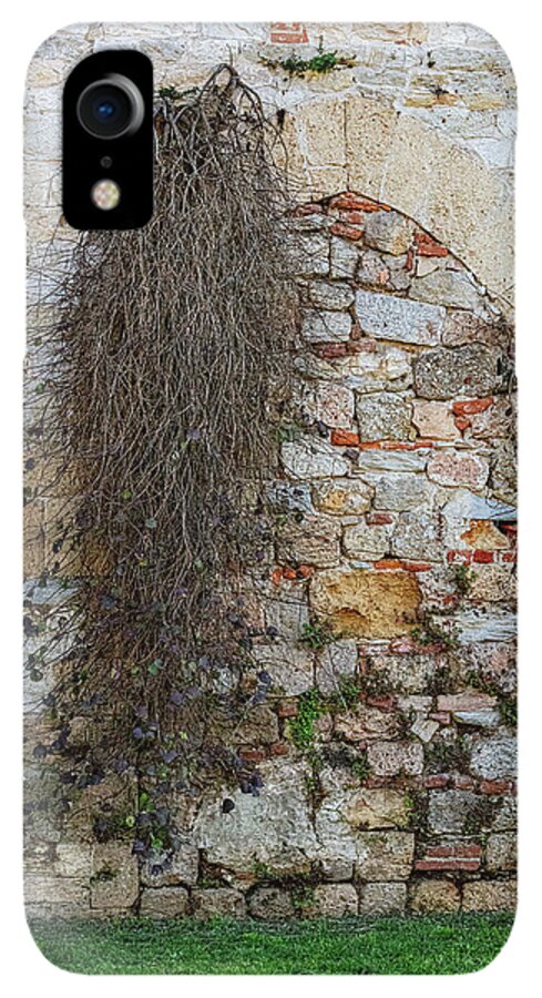 City Wall of Pisa - Phone Case