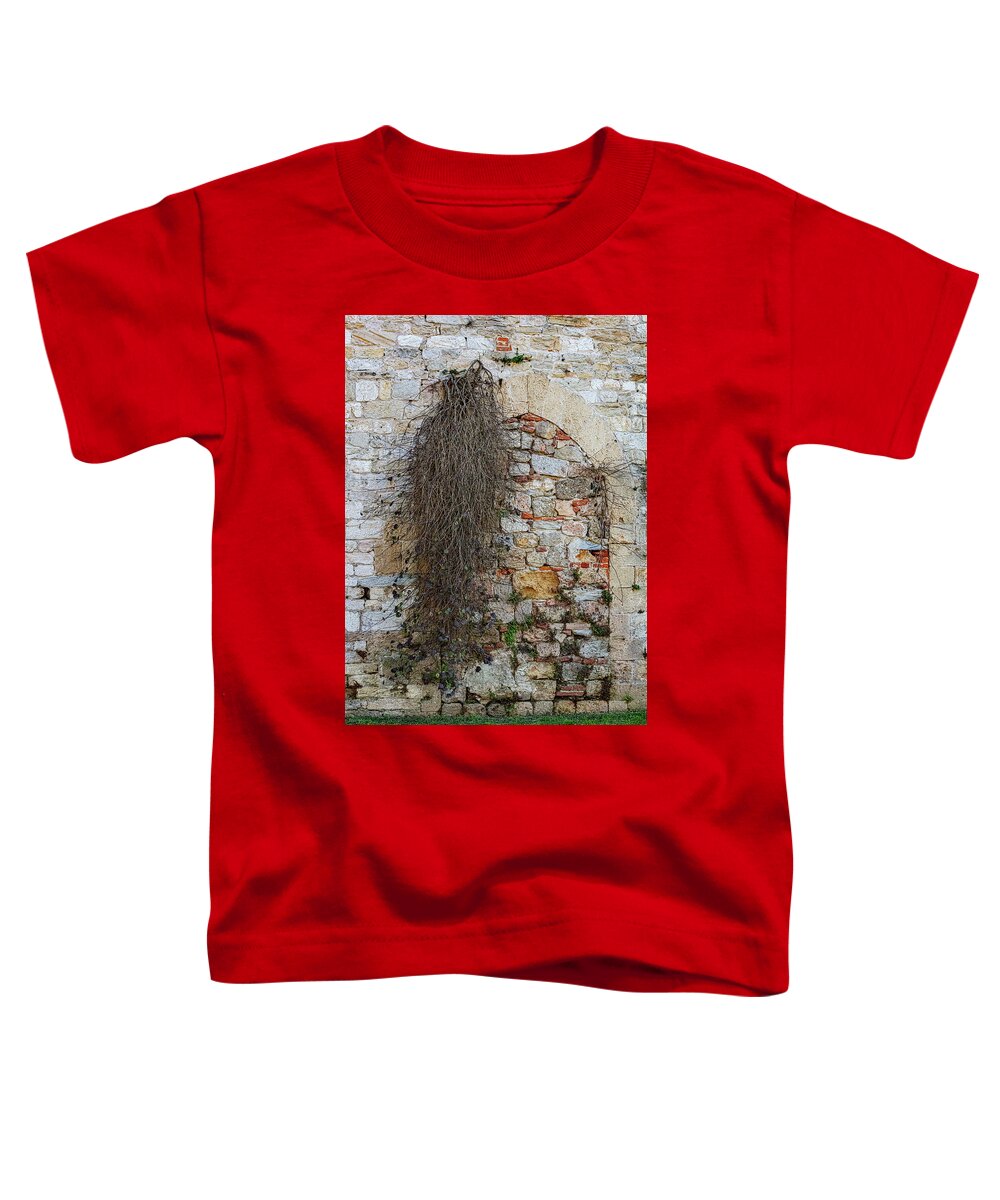 City Wall of Pisa - Toddler T-Shirt
